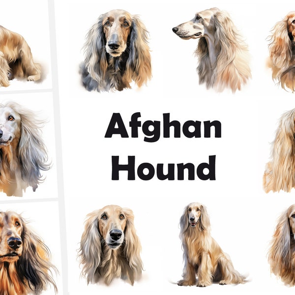 10 Afghan Hound Dog, Afghan Hound Dog JPG, Watercolor Clipart, High Quality JPG, Digital Download, High Resolution, Commercial Use