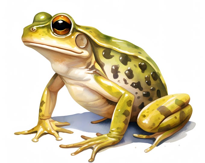 Frog Clipart, Cute Reptile Images, 10 Watercolor Clip Art, Printable JPGs, Instant Download, Commercial Use, Paper craft