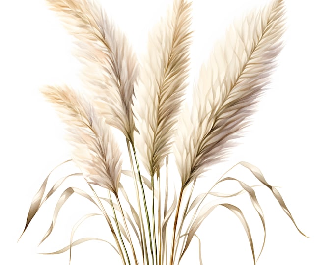 Pampas Grass Clipart, Boho Floral Images, 10 Watercolor Clip Art, Printable JPGs, Instant Download, Commercial Use, Paper craft