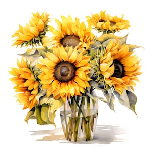 Girassóis Clipart, Imagens de Buquê de Girassóis, 10 Clip Art em Aquarela, JPGs para Imprimir, Download Instantâneo, Uso Comercial, Artesanato em Papel