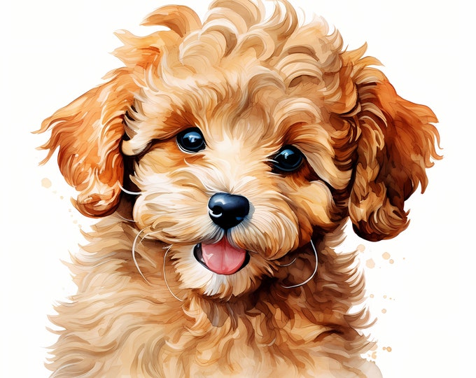 Poodle Toy Dog Clipart, Puppy Dog Images, 10 Watercolor Clip Art, Printable JPGs, Instant Download, Commercial Use, Paper craft
