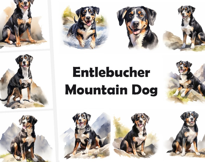 Entlebucher Sennenhund Clipart, Entlebucher Mountain Dog Images, 10 Watercolor Clip Art, Printable JPGs, Instant Download, Commercial Use