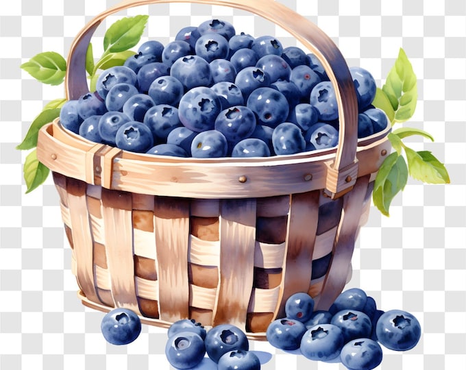 10 PNG Basket Of Blueberries, Blueberries Clipart, Watercolor Clip Art, Instant Download, Commercial Use, Paper craft