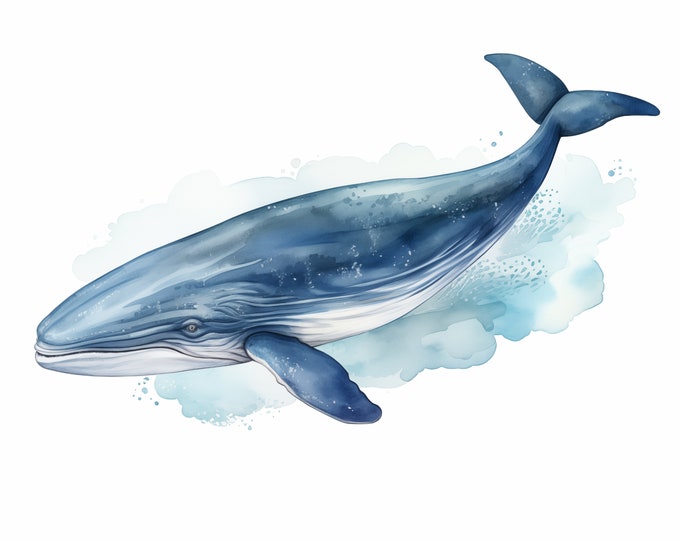 Whale Clipart, Blue Whale Images, 10 Watercolor Clip Art, Printable JPGs, Instant Download, Commercial Use, Paper craft