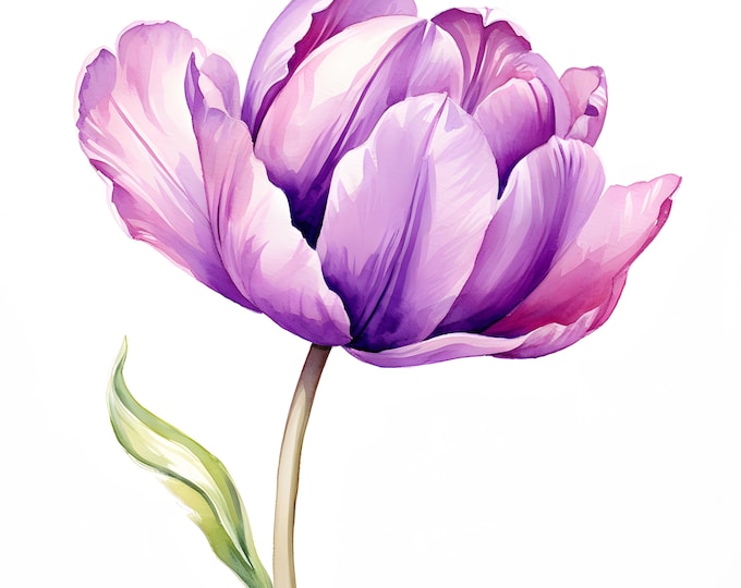Purple Tulip Clipart, Tulip Flower Images, 10 Watercolor Clip Art, Printable JPGs, Instant Download, Commercial Use, Paper craft
