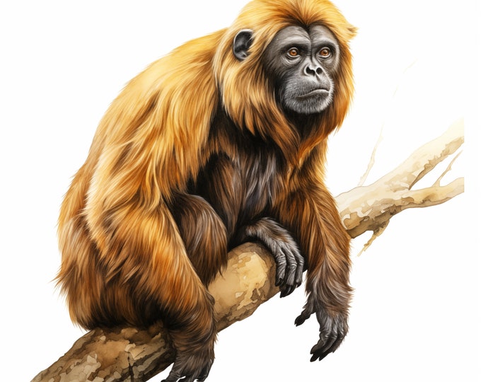Howler Monkey Clipart, Rainforest Primates Images, 10 Watercolor Clip Art, Printable JPGs, Instant Download, Commercial Use, Paper craft