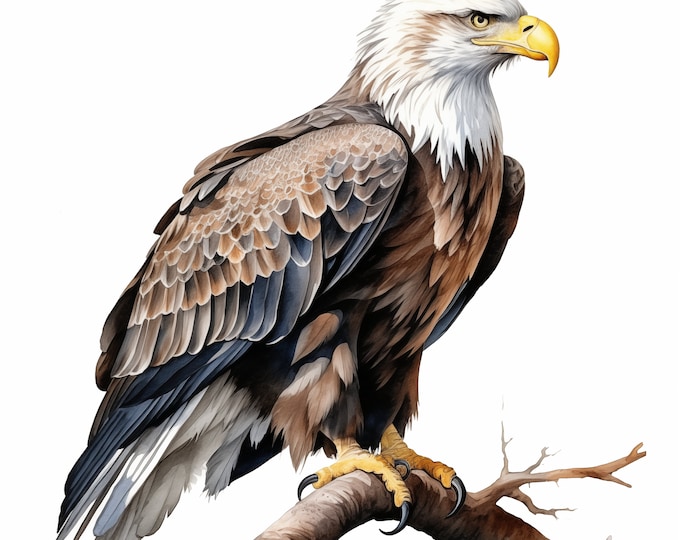 Eagle Clipart, Bald Eagle Images, 10 Watercolor Clip Art, Printable JPGs, Instant Download, Commercial Use, Paper craft
