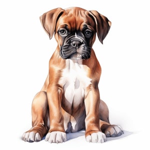 Watercolor Boxer Puppy Clipart: Dog Breed Art (JPG Download)