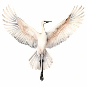 Watercolor Whooping Crane Clipart: Flying Crane JPGs (Commercial Use)