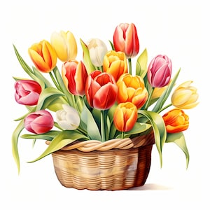 Tulip Basket Clipart, Tulip Flowers Images, 10 Watercolor Clip Art, Printable JPGs, Instant Download, Commercial Use, Paper craft