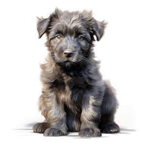 Bouvier des Flandres hond clipart, puppy hondenafbeeldingen, 10 aquarel illustraties, afdrukbare jpg&#39;s, Instant Download, commercieel gebruik, Papercraft
