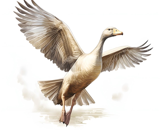Flying Goose Clipart, Goose Images, 10 Watercolor Clip Art, Printable JPGs, Instant Download, Commercial Use, Paper craft