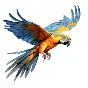 Macaw Clipart, Macaw Parrot Images, 10 Watercolor Clip Art, Printable JPGs, Instant Download, Commercial Use, Paper craft