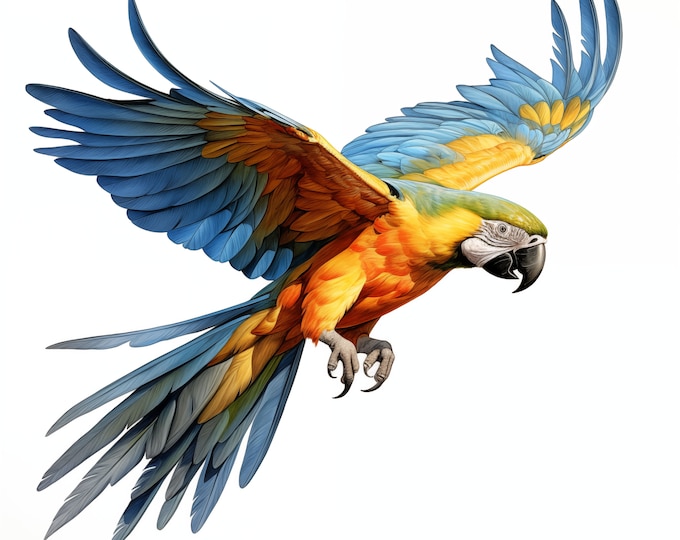 Macaw Clipart, Macaw Parrot Images, 10 Watercolor Clip Art, Printable JPGs, Instant Download, Commercial Use, Paper craft