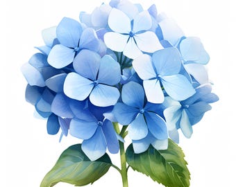 Blue Hydrangea Watercolor Clipart: Floral JPG Images (Commercial Use)