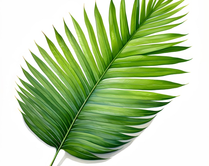 Palm Beach Leaf Clipart, Tropical Leaf Images, 10 Watercolor Clip Art, Printable JPGs, Instant Download, Commercial Use, Paper craft
