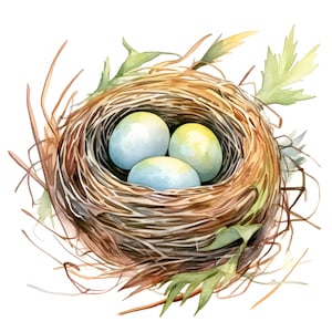 Clipart nid d'oeufs, images de nid d'oiseau, 10 images clipart aquarelle, fichiers JPG imprimables, téléchargement immédiat, usage commercial, créations en papier