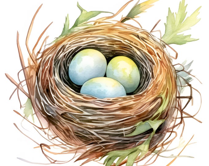 Nest With Eggs Clipart, Bird Nest Images, 10 Watercolor Clip Art, Printable JPGs, Instant Download, Commercial Use, Paper craft