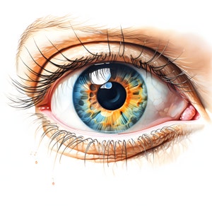 Klipart akwarelowy z oczami: Abstrakcyjne kolorowe gałki oczne (pliki JPG, do użytku komercyjnego)