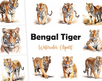 10 Tiger, Bengal Tiger JPG, Watercolor Clipart, High Quality JPGs, Digital Download, High Resolution, Commercial Use