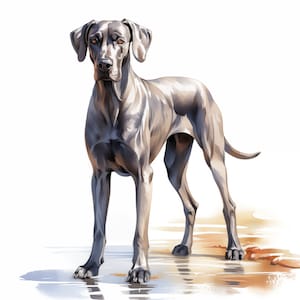 Great Dane Clipart, Great Dane Dog Images, 10 Watercolor Clip Art, Printable JPGs, Instant Download, Commercial Use, Paper craft