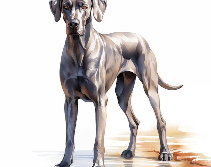 Great Dane Clipart, Great Dane Dog Images, 10 Watercolor Clip Art, Printable JPGs, Instant Download, Commercial Use, Paper craft