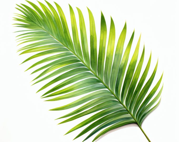 Palm Leaf Clipart, Tropical Green Leaf Images, 10 Watercolor Clip Art, Printable JPGs, Instant Download, Commercial Use, Paper craft