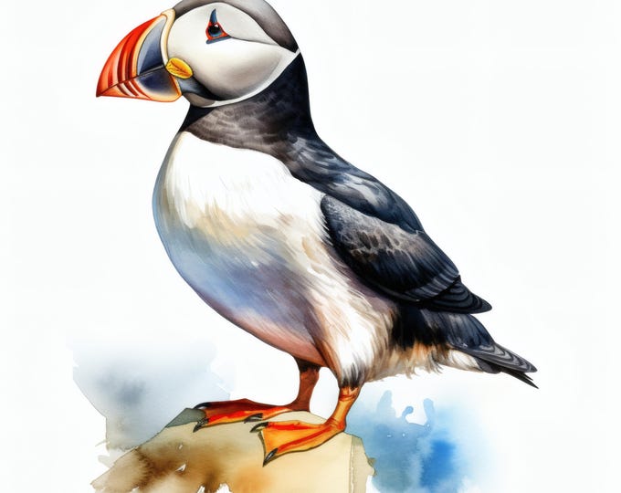 Puffin Bird Clipart, Seabird Wildlife Images, 10 Watercolor Clip Art, Printable JPGs, Instant Download, Commercial Use, Paper craft