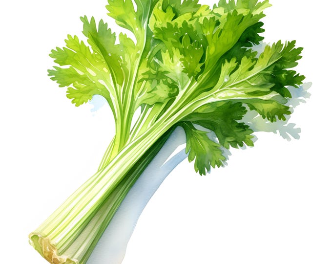Celery Clipart, Farm Celery Images, 10 Watercolor Clip Art, Printable JPGs, Instant Download, Commercial Use, Paper craft