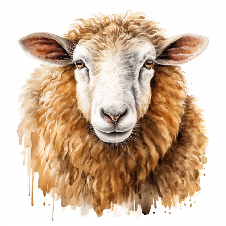 Op de afbeelding: Een aquarel schilderij van een schaap met bruin en wit bont. Het schaap kijkt recht naar de kijker met een zachte uitdrukking. De achtergrond is een witte aquarel was met bruine spatten.