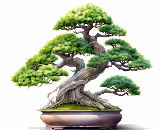 Bonsai Tree Clipart, Botanical Mini Tree Images, 10 Watercolor Clip Art, Printable JPGs, Instant Download, Commercial Use, Paper craft