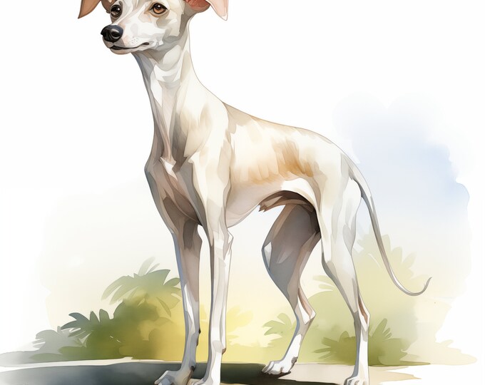 Greyhound Dog Clipart, Italian Greyhound Dog Images, 10 Watercolor Clip Art, Printable JPGs, Instant Download, Commercial Use, Paper craft