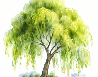 Willow Tree, Willow Tree Breeze, Weeping Willow - Watercolor Clipart Set with 10 JPG Images - Instant Download, Commercial Use