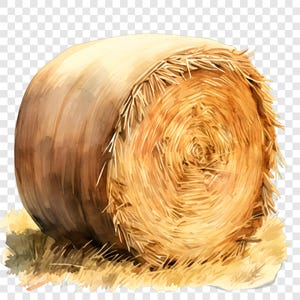 Könnte beinhalten: Aquarell-Illustration eines runden Heuballens. Der Ballen ist eine Mischung aus hellen und dunklen Brauntönen mit einer strukturierten Oberfläche. Das Schnittende zeigt ein Spiralmuster aus Stroh. Der Ballen liegt auf einem Bett aus trockenem Gras.