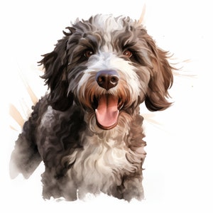 Spanish Water Dog Watercolor Clipart: Printable Dog Images (JPGs)