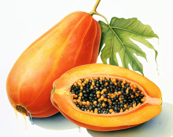 Papaya Fruit Clipart, Tropical Papaya Images, 10 Watercolor Clip Art, Printable JPGs, Instant Download, Commercial Use, Paper craft