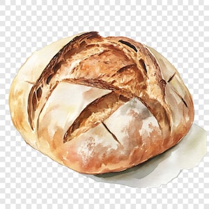 Puede incluir: Ilustración en acuarela de una hogaza de pan redonda. El pan tiene una corteza de color marrón dorado con un patrón en forma de cruz en la parte superior. El pan está sobre un trozo de papel blanco, con fondo transparente.