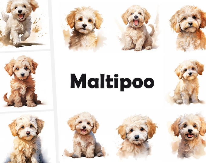 Maltipoo Clipart, Maltipoo Dog Images, 10 Watercolor Clip Art, Printable JPGs, Instant Download, Commercial Use, Paper craft