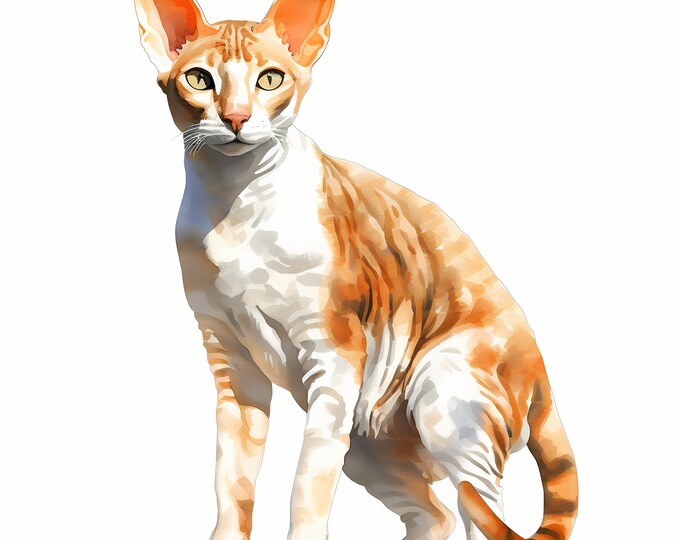Cornish Rex Cat Clipart, Domestic Cat Images, 10 Watercolor Clip Art, Printable JPGs, Instant Download, Commercial Use, Paper craft