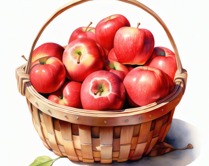 Apple Basket Clipart, Red Apples Harvest Images, 10 Watercolor Clip Art, Printable JPGs, Instant Download