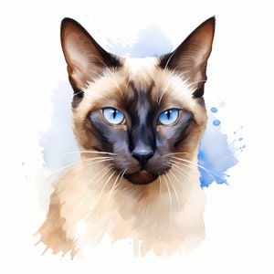 Siamese Cat Clipart, Siamese Kitten Images, 10 Watercolor Clip Art, Printable JPGs, Instant Download, Commercial Use, Paper craft