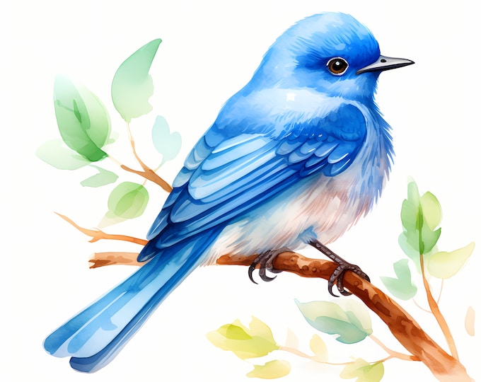 Blue Bird Clipart, Adorable Bird, Bluebird Images, 10 Watercolor Clip Art, Printable JPGs, Instant Download, Commercial Use, Paper craft
