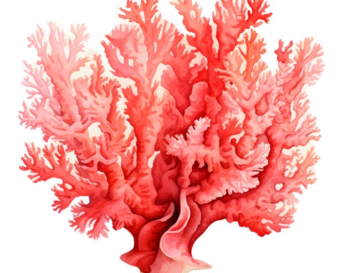 Coral Clipart, Coral Reef Images, 10 Watercolor Clip Art, Printable JPGs, Instant Download, Commercial Use, Paper craft