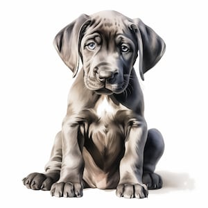 Great Dane Dog Clipart, Puppy Dog Images, 10 Watercolor Clip Art, Printable JPGs, Instant Download, Commercial Use, Paper craft