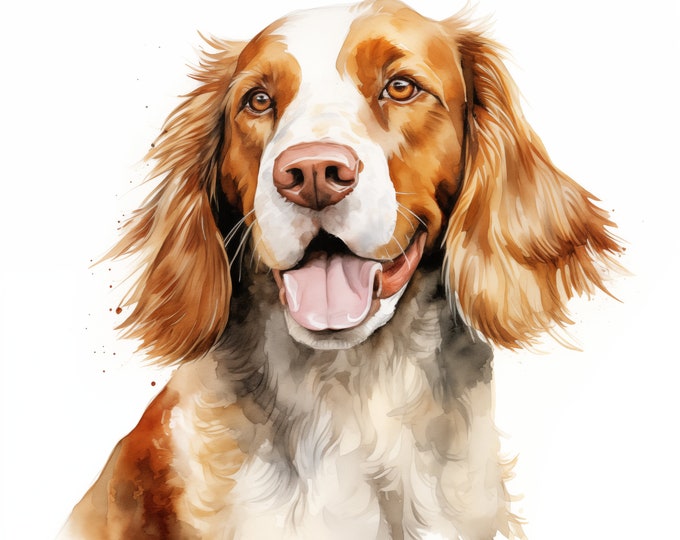 Welsh Springer Spaniel Clipart, Spaniel Dog Images, 10 Watercolor Clip Art, Printable JPGs, Instant Download, Commercial Use, Paper craft
