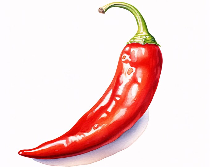 Watercolor Chili Pepper Clipart: Spicy Vegetable Art, Commercial Use (JPGs, Instant Download)
