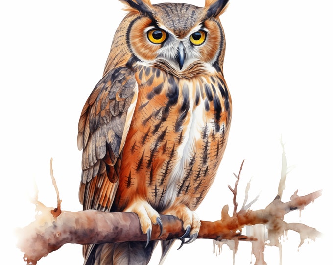 Owl Clipart, Barn Owls Images, 10 Watercolor Clip Art, Printable JPGs, Instant Download, Commercial Use, Paper craft