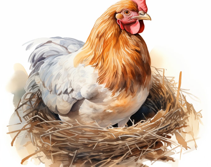 Hen in Nest Clipart, Hen Sitting on Eggs Images, 10 Watercolor Clip Art, Printable JPGs, Instant Download, Commercial Use, Paper craft