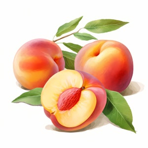 Peaches Clipart, Peach, Summer Fruits Images, 10 Watercolor Clip Art, Printable JPGs, Instant Download, Commercial Use, Paper craft