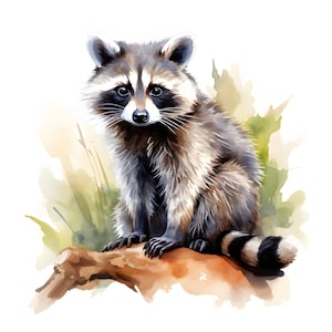 Clipart raton laveur, images de raton laveur de la forêt, 10 images clipart aquarelle, fichiers JPG imprimables, téléchargement immédiat, usage commercial, créations en papier